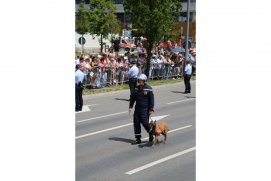 Fédération Nationale des Pompiers